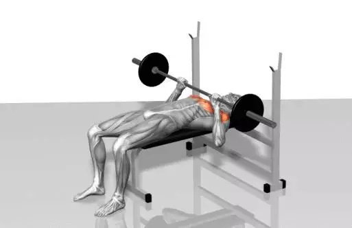 星空体育网页-【青少年训练指南】入门到精通的训练路线图的简单介绍