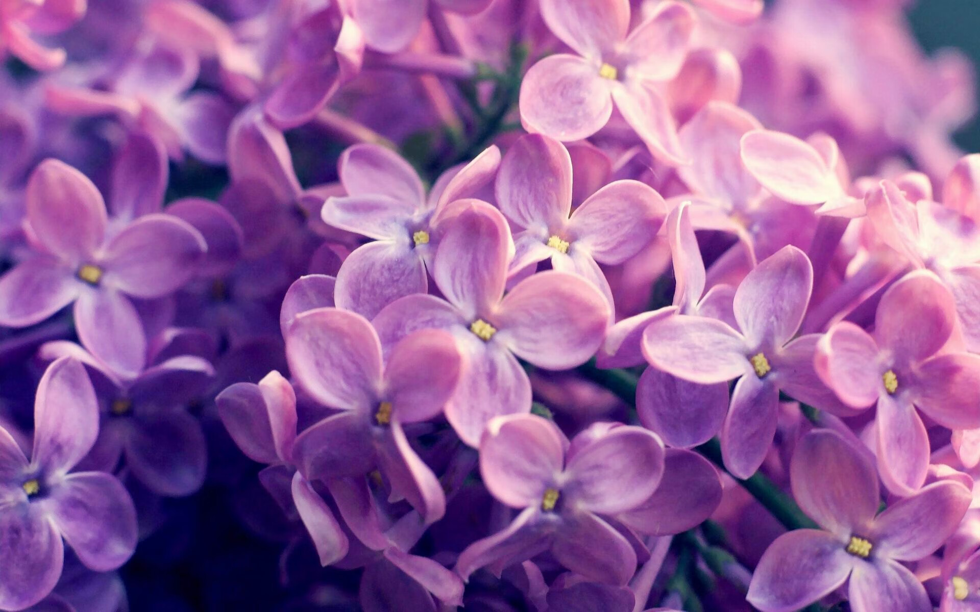 拉齐奥门将神勇表现,多次神扑挽救球队,拉齐奥转会最新消息