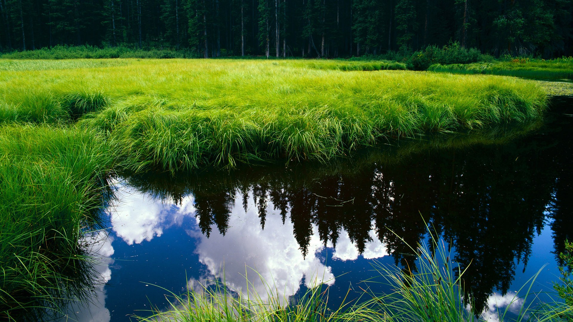电竞城市成为电竞职业选手的摇篮,电竞在城市发展中的盈利模式
