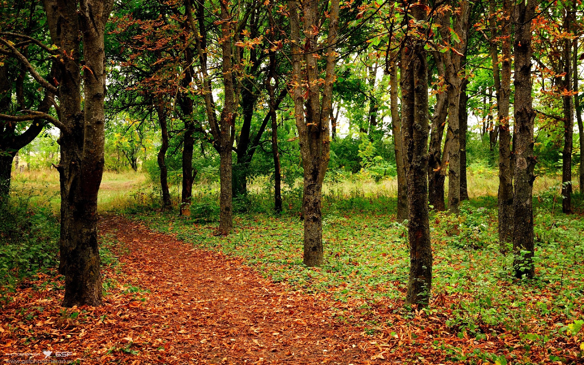 星空体育官网下载入口-篮球场光影：全球巅峰对决如火如荼，篮球场灯光照度标准