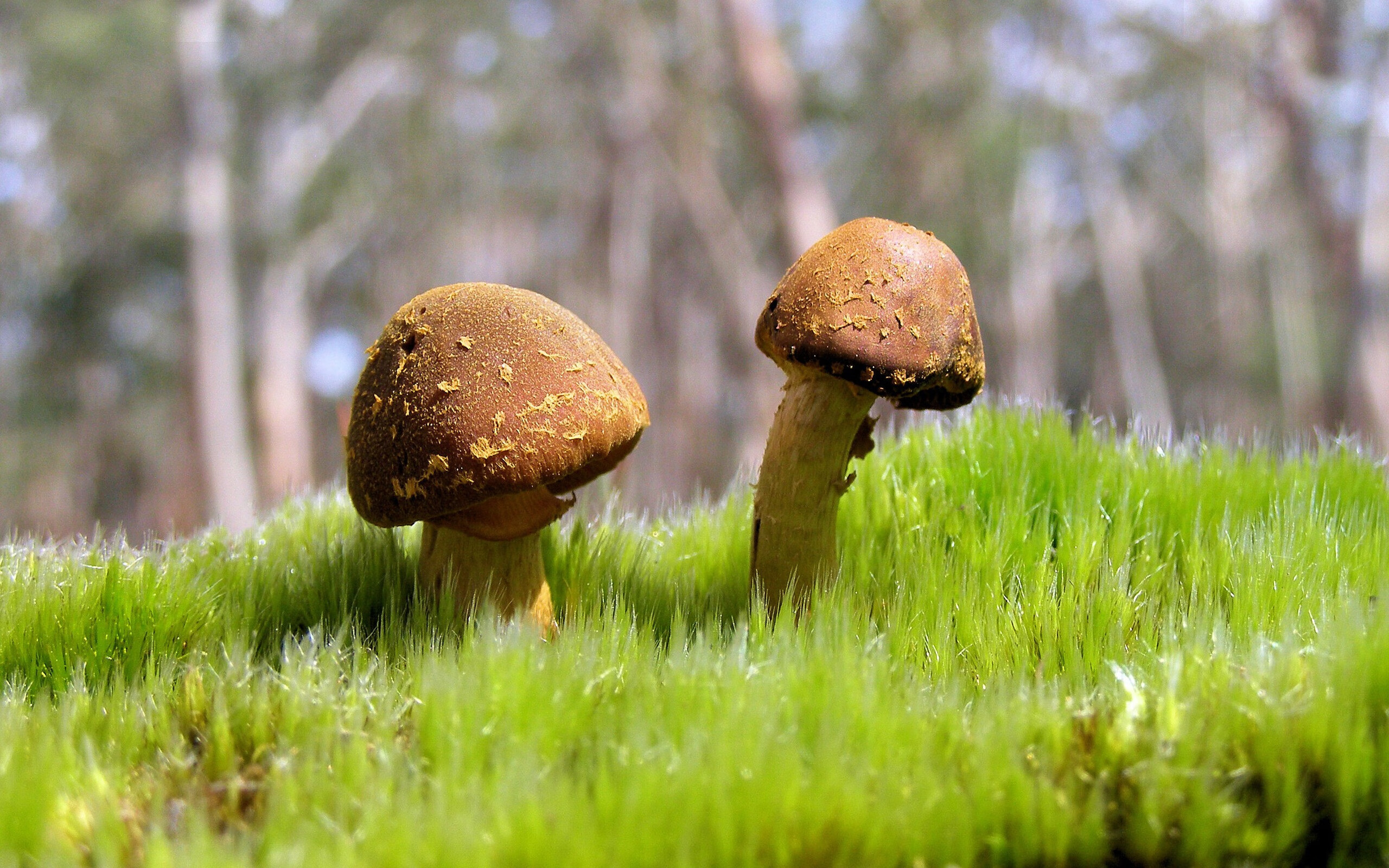 体育场馆安全标准完善,体育场馆规范