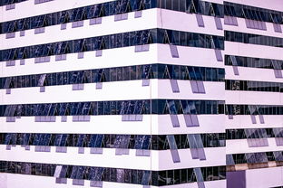 星空体育app下载-体育赛事风险管控体系建设，体育赛事风险防范