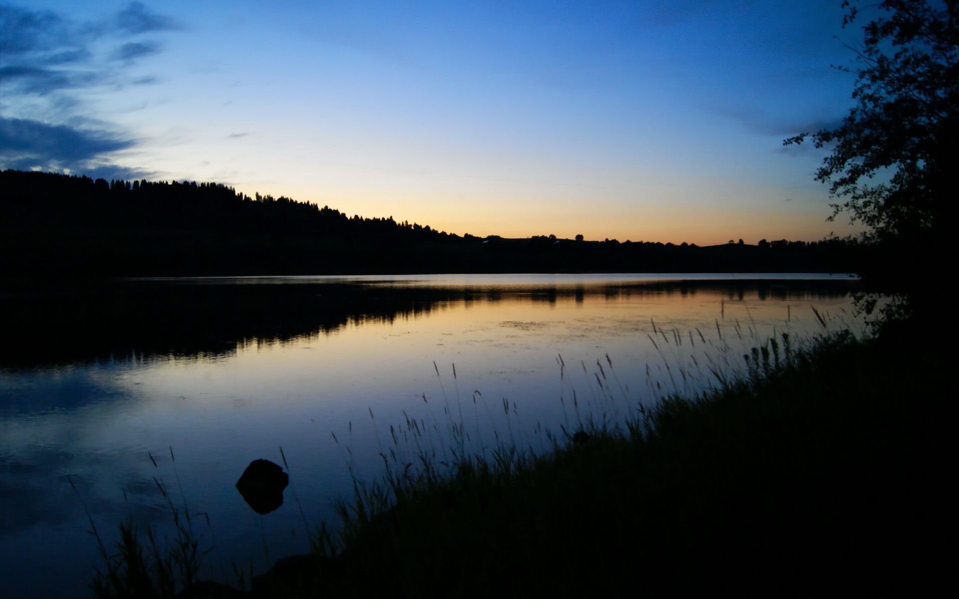 年度体坛风云人物揭晓体育盛典,体坛风云人物颁奖2022