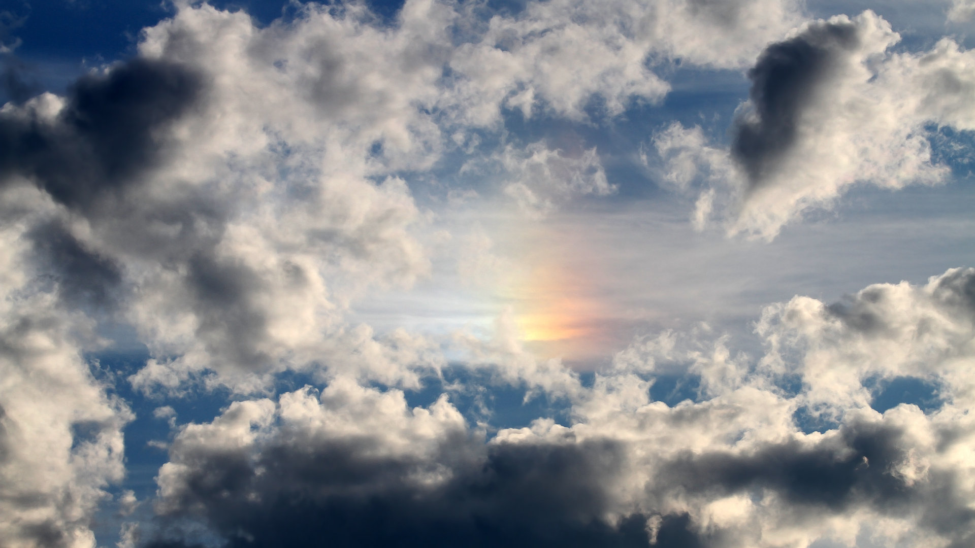 星空体育官方入口-公牛训练结束后组织战术问答考验球员理解，公牛教练组