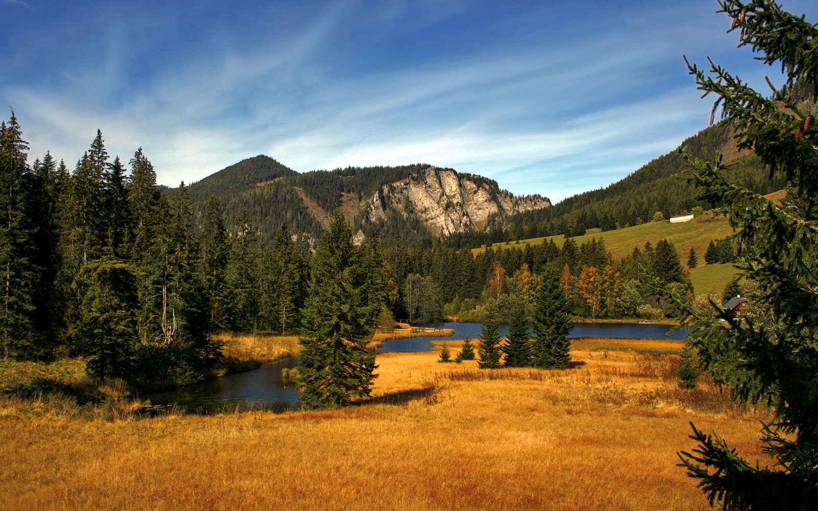 StarSky Sporting下载-李娜亮相国际赛事支持中国小将登场，李娜战绩