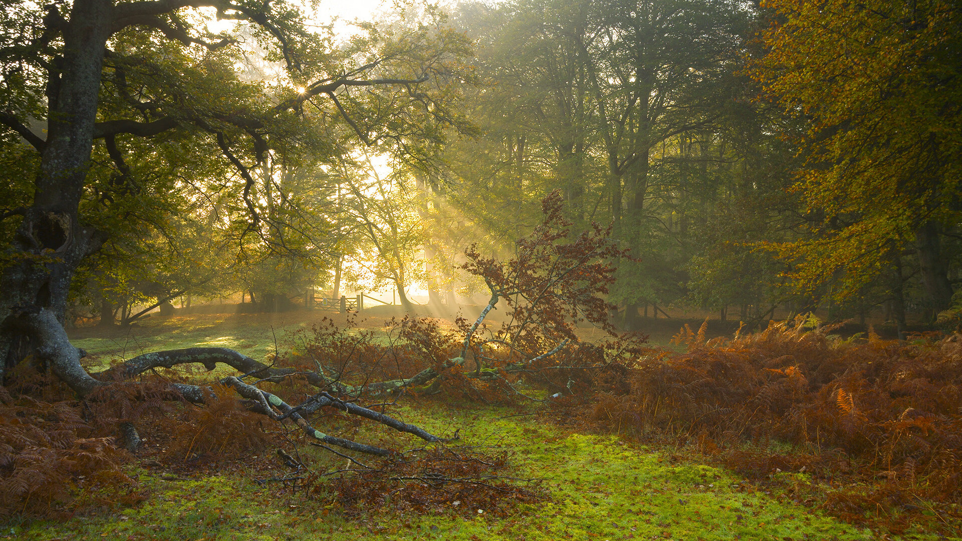 星空体育网站入口-转会窗口关闭前多队密集操作或将影响争冠格局，转会窗口关闭后可以卖人吗