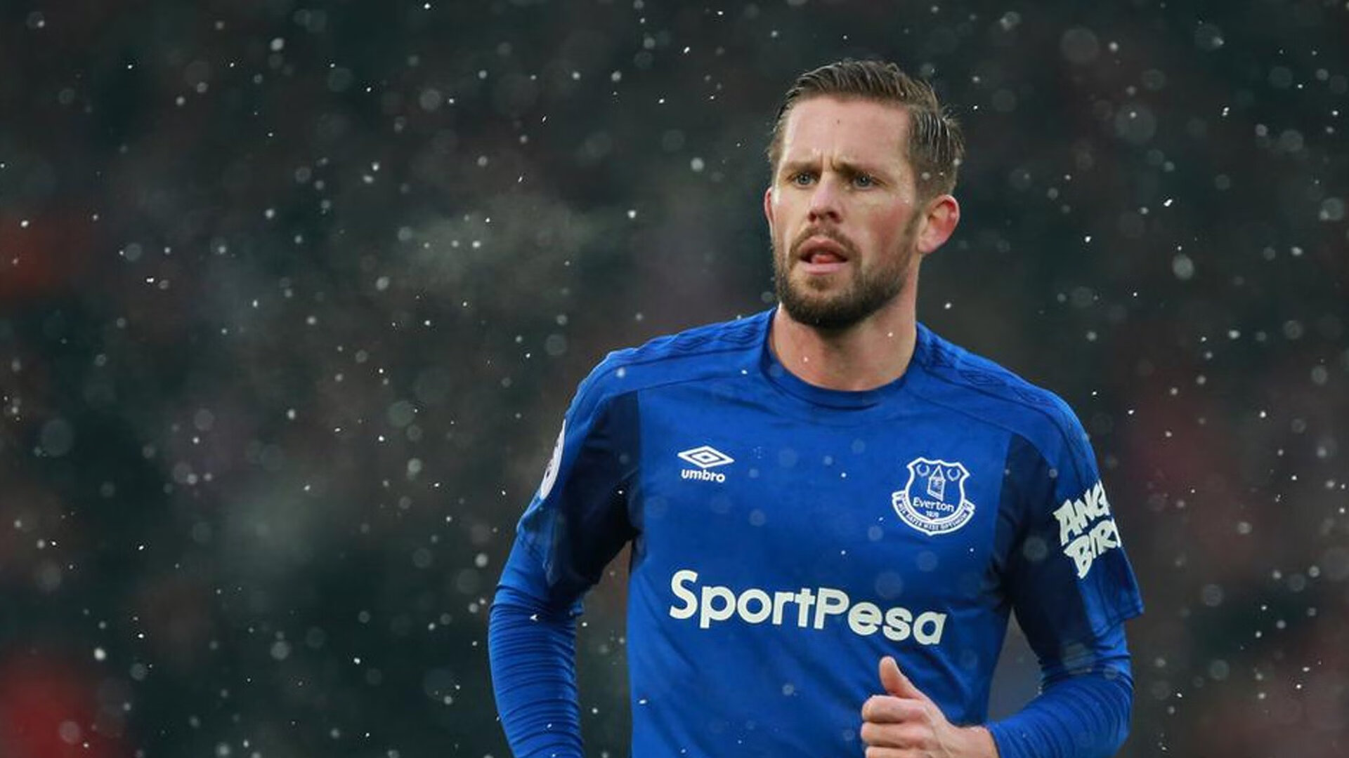 狼队夺冠在望!,狼队获胜